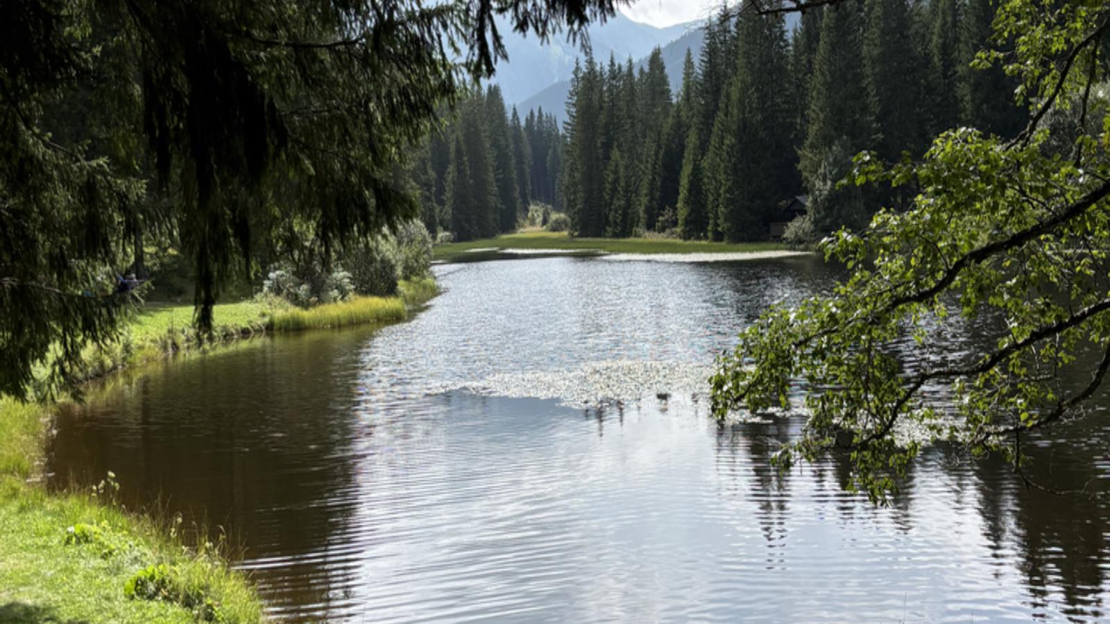Gipfelzauber - Gebiete Sommer 20 km