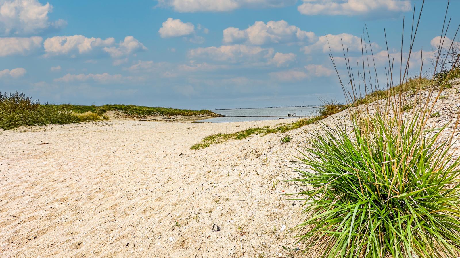 Dune Design-Gebieden zomer 1km