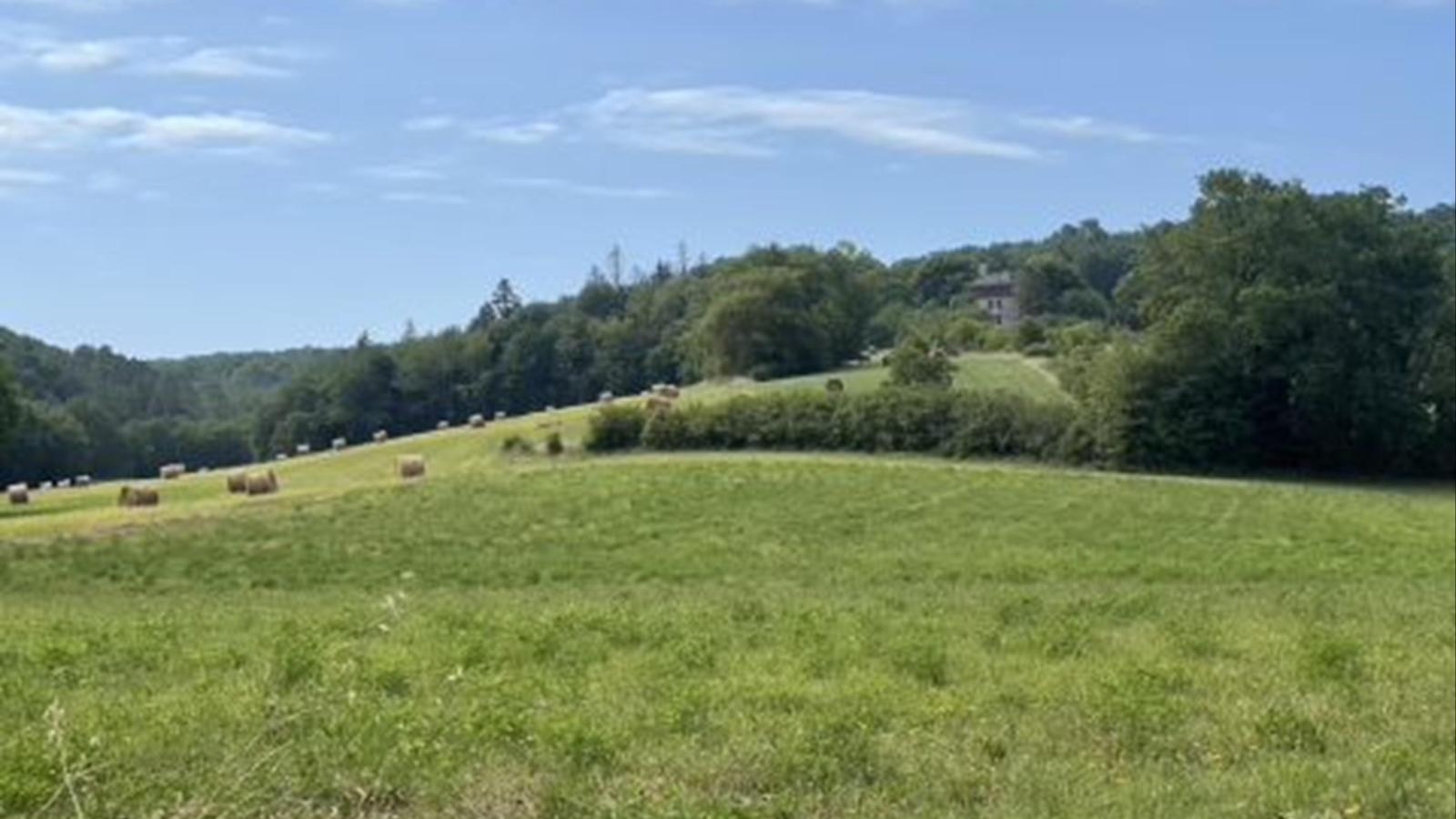 Ferme Saint Martin le Redon-Gebieden zomer 1km