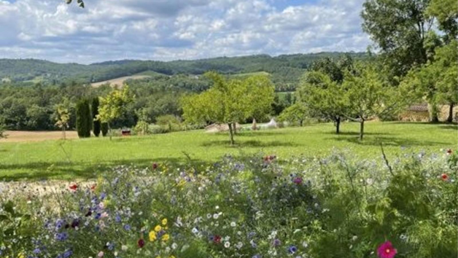 Ferme Saint Martin le Redon-Uitzicht zomer