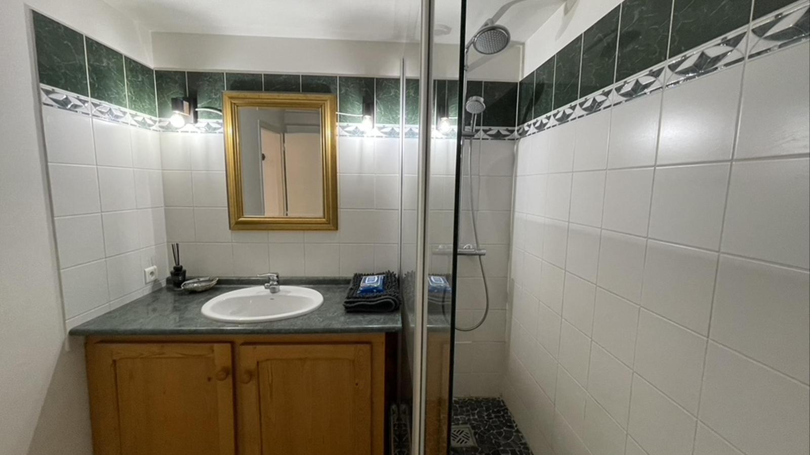 Ferme Saint Martin le Redon-Badkamer