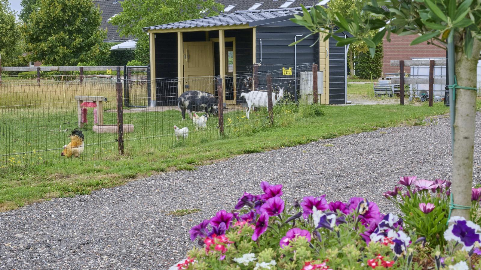 Boerderijappartement t Katreel-Gebieden zomer 1km