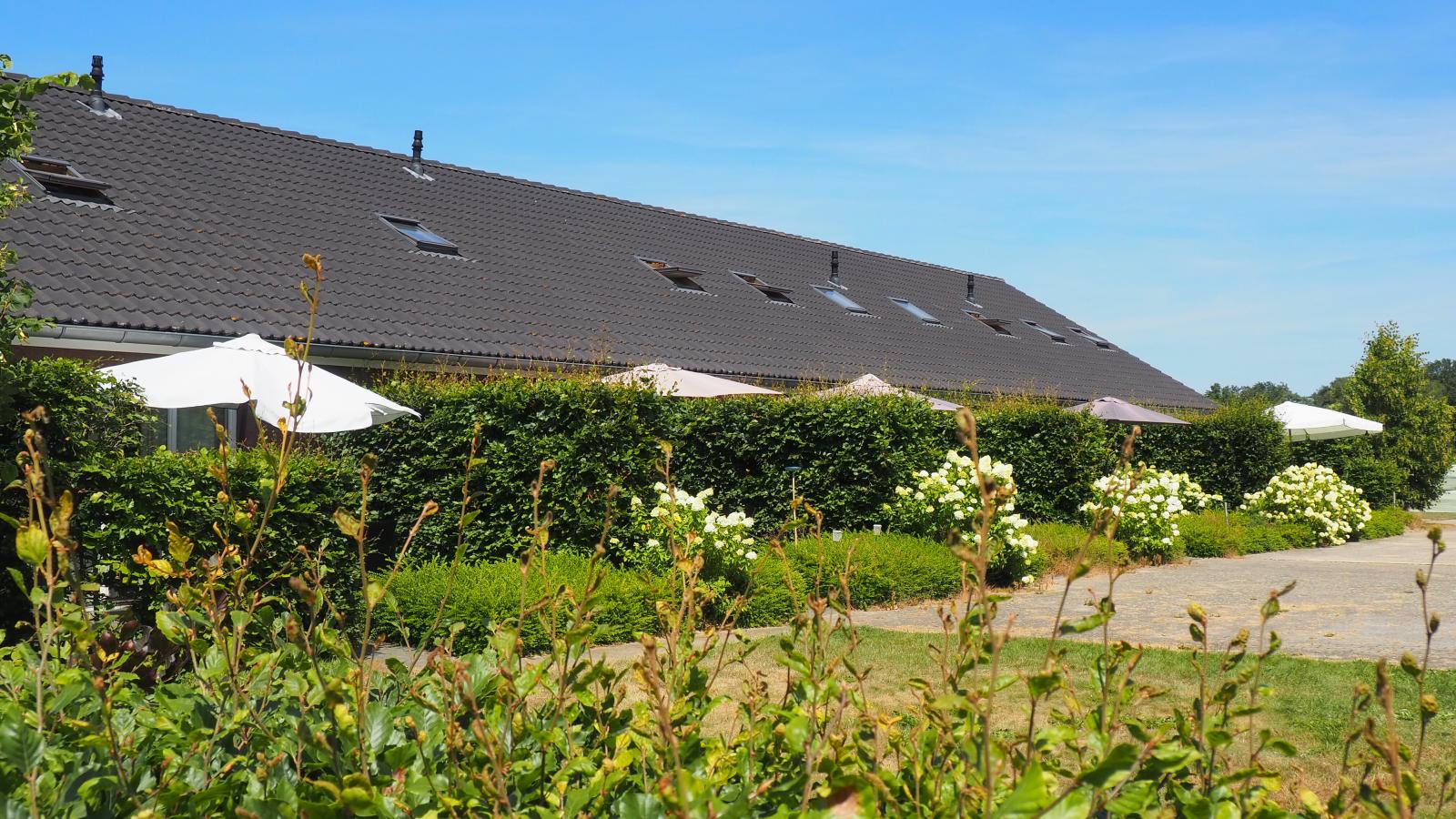 gardensummer