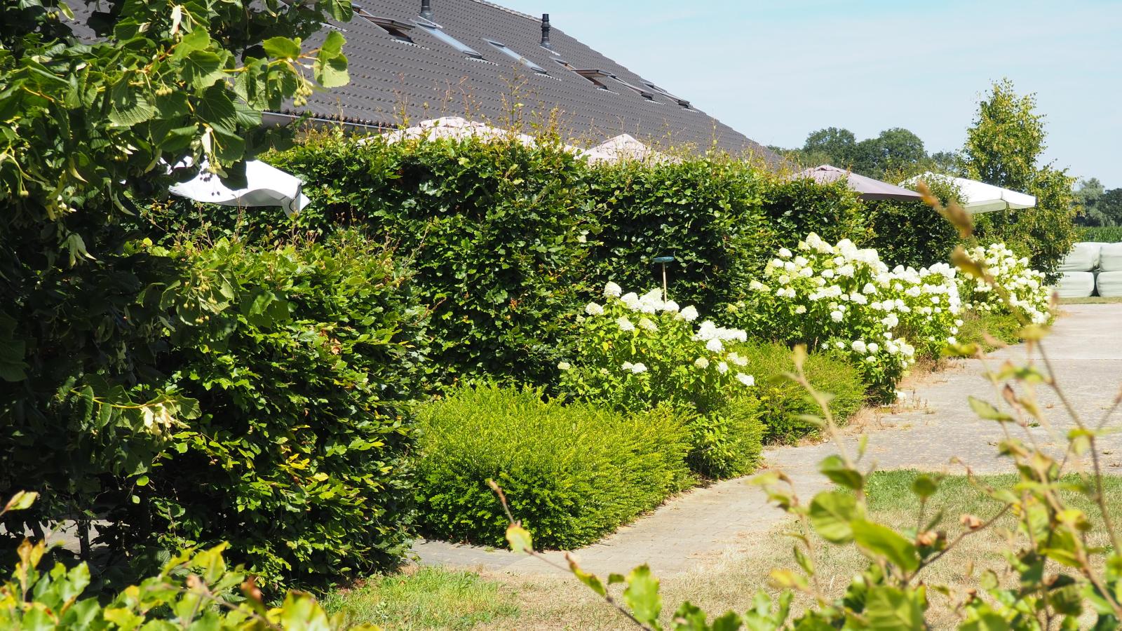 Boerderijappartement t Katreel-Tuinen zomer