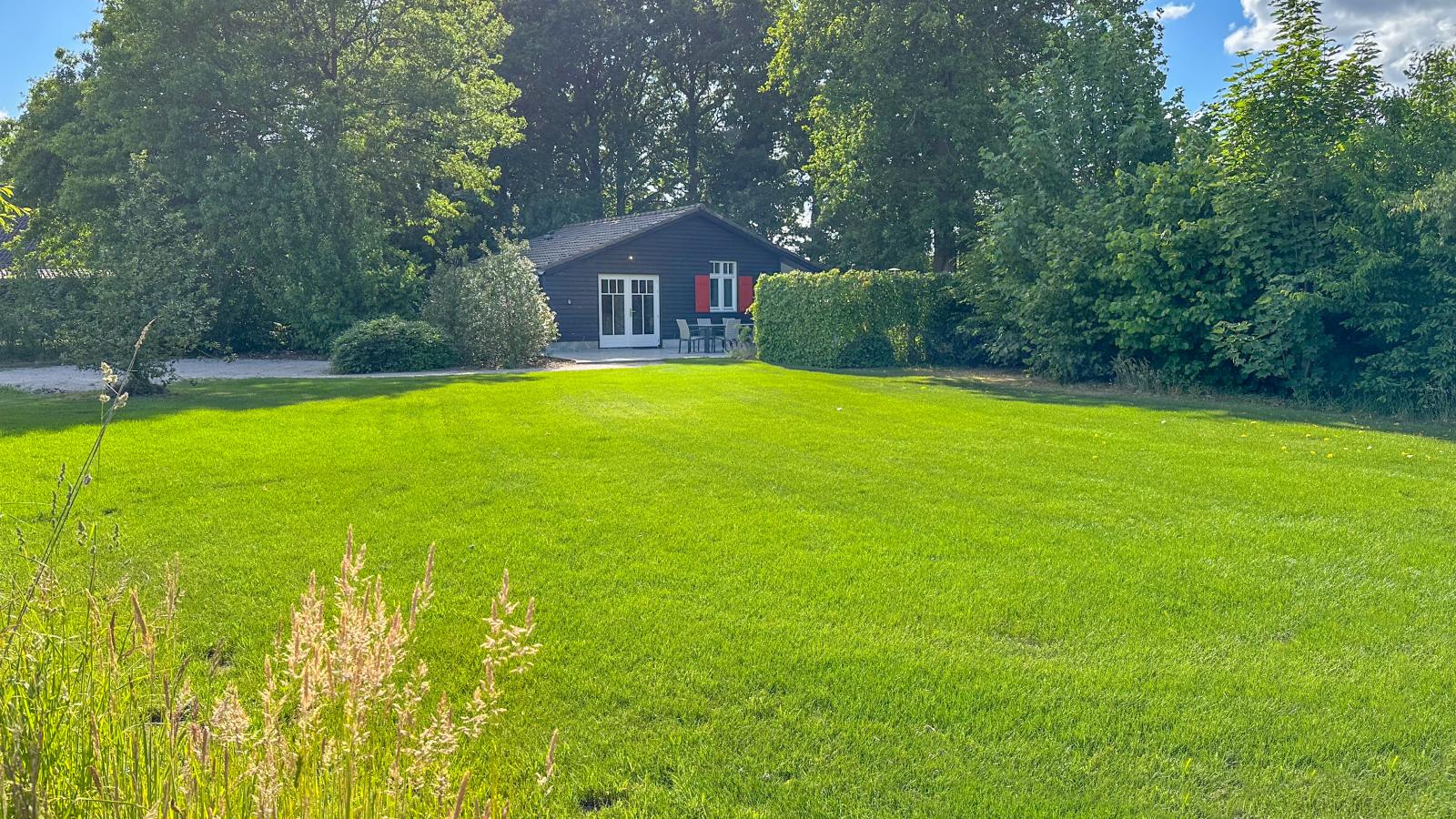 gardensummer