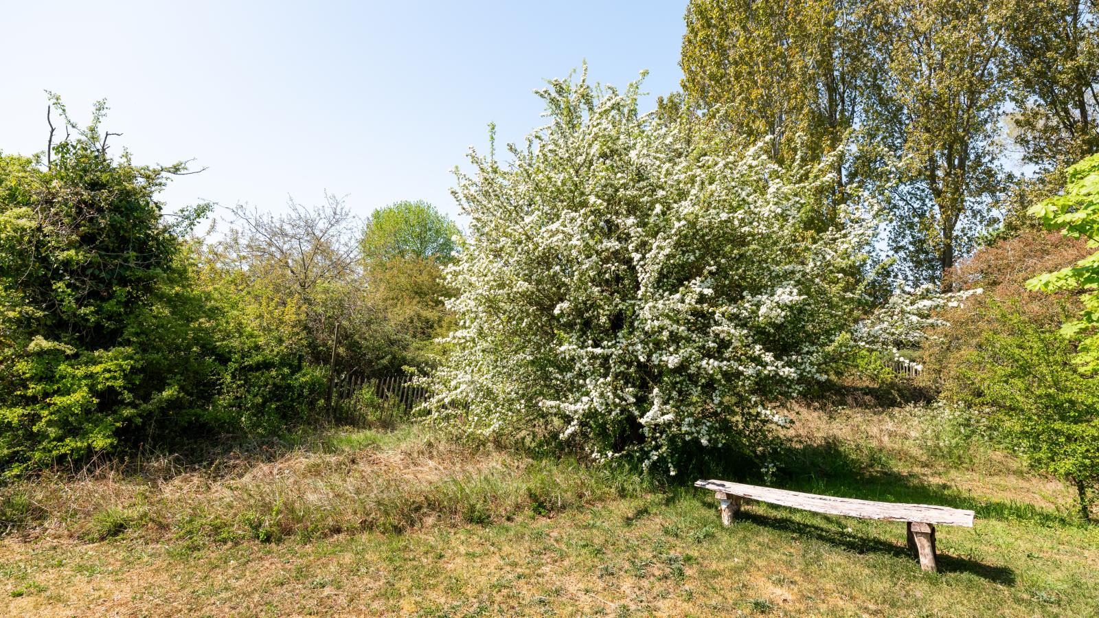 Rue de labbaye-Gardens summer