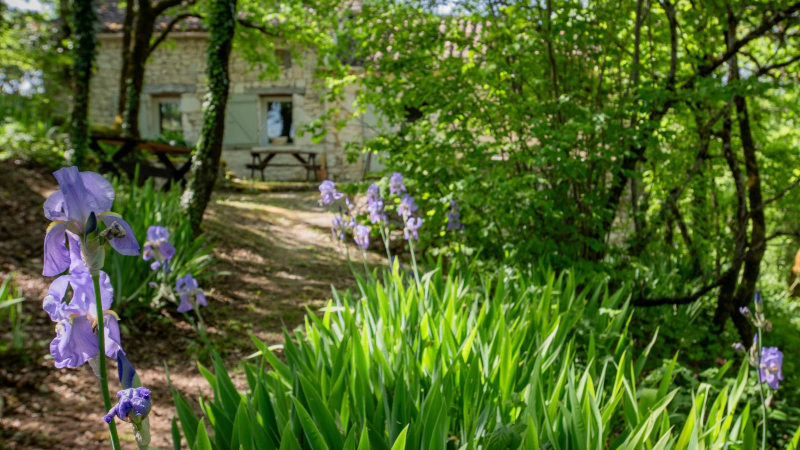 La Canelle - Buitenkant zomer