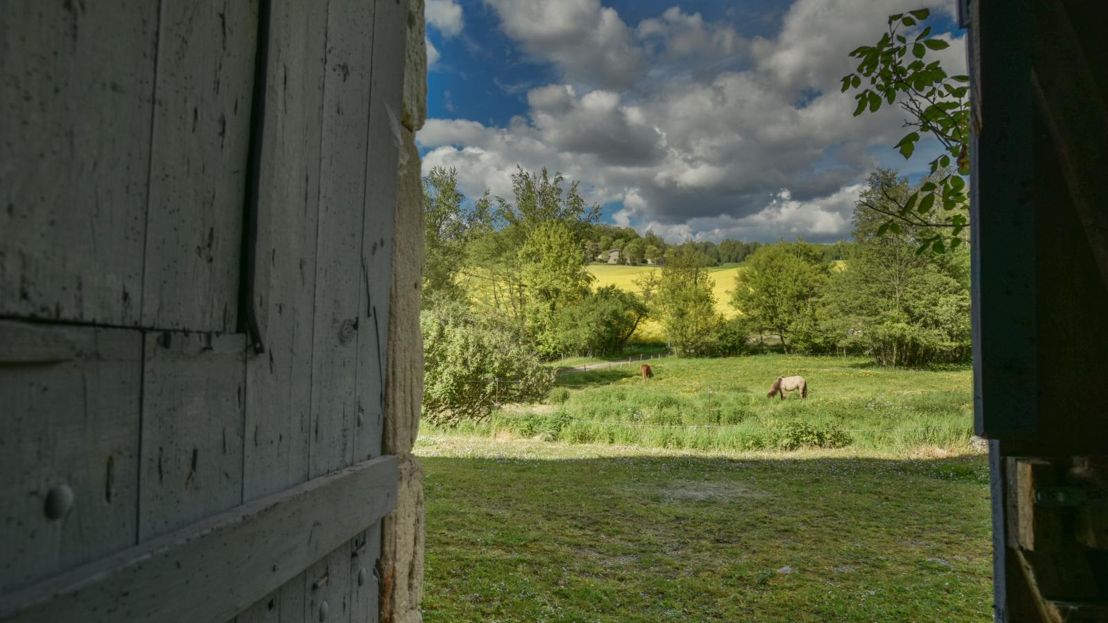 Gite Camineles - Uitzicht zomer