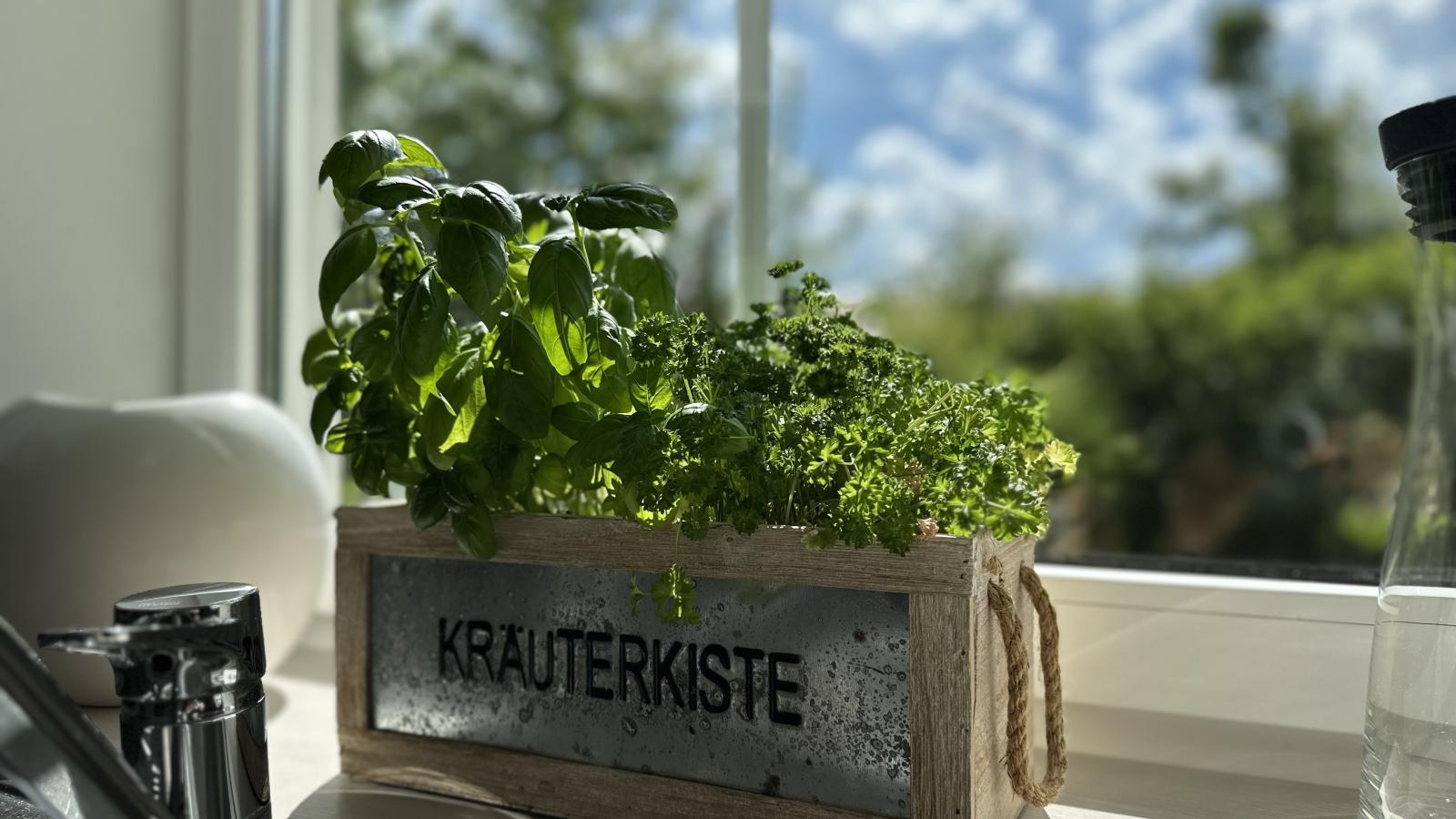 Zur Gradlhöhe-Atmosphere