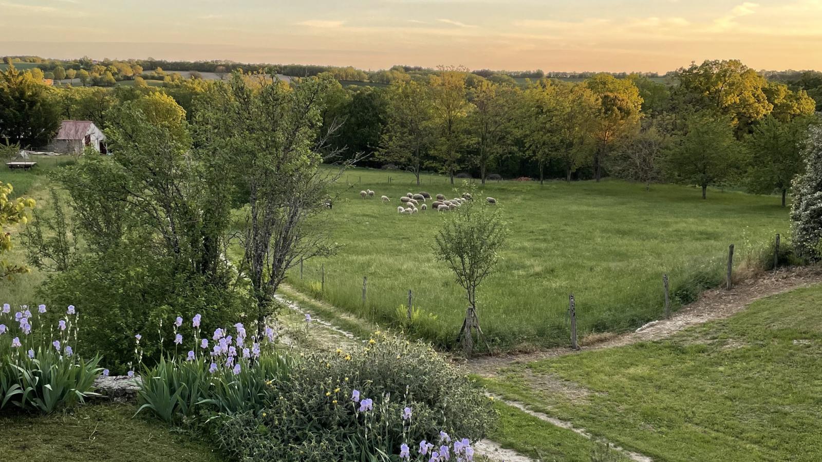 Les Artals-View summer