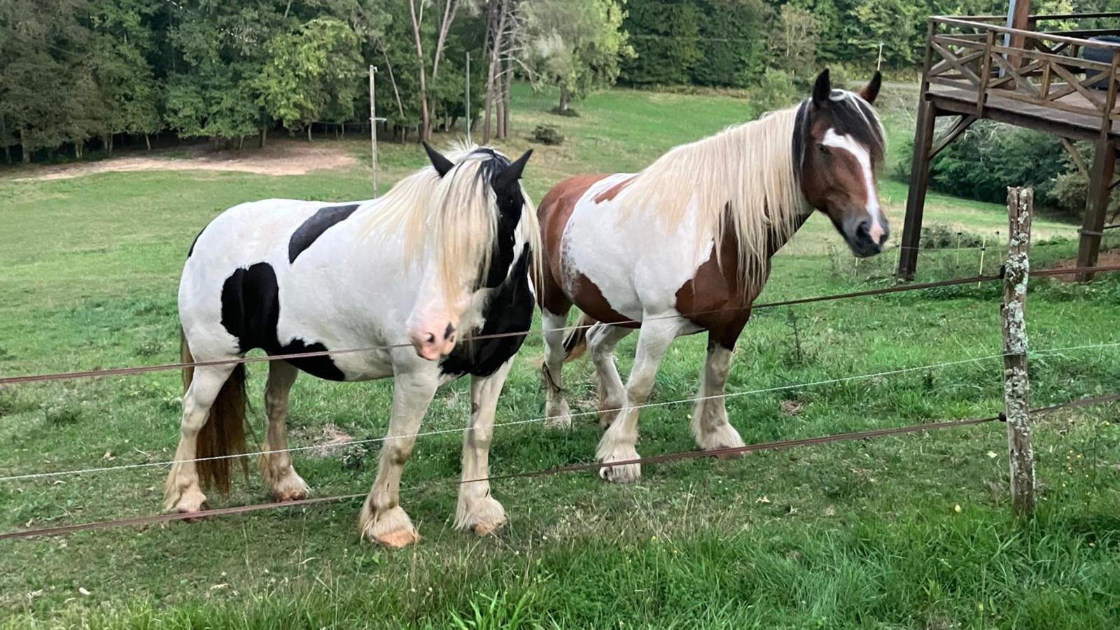 Le Mas dAmour-Ambiente