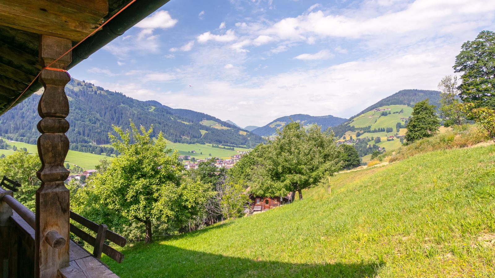 viewsummer