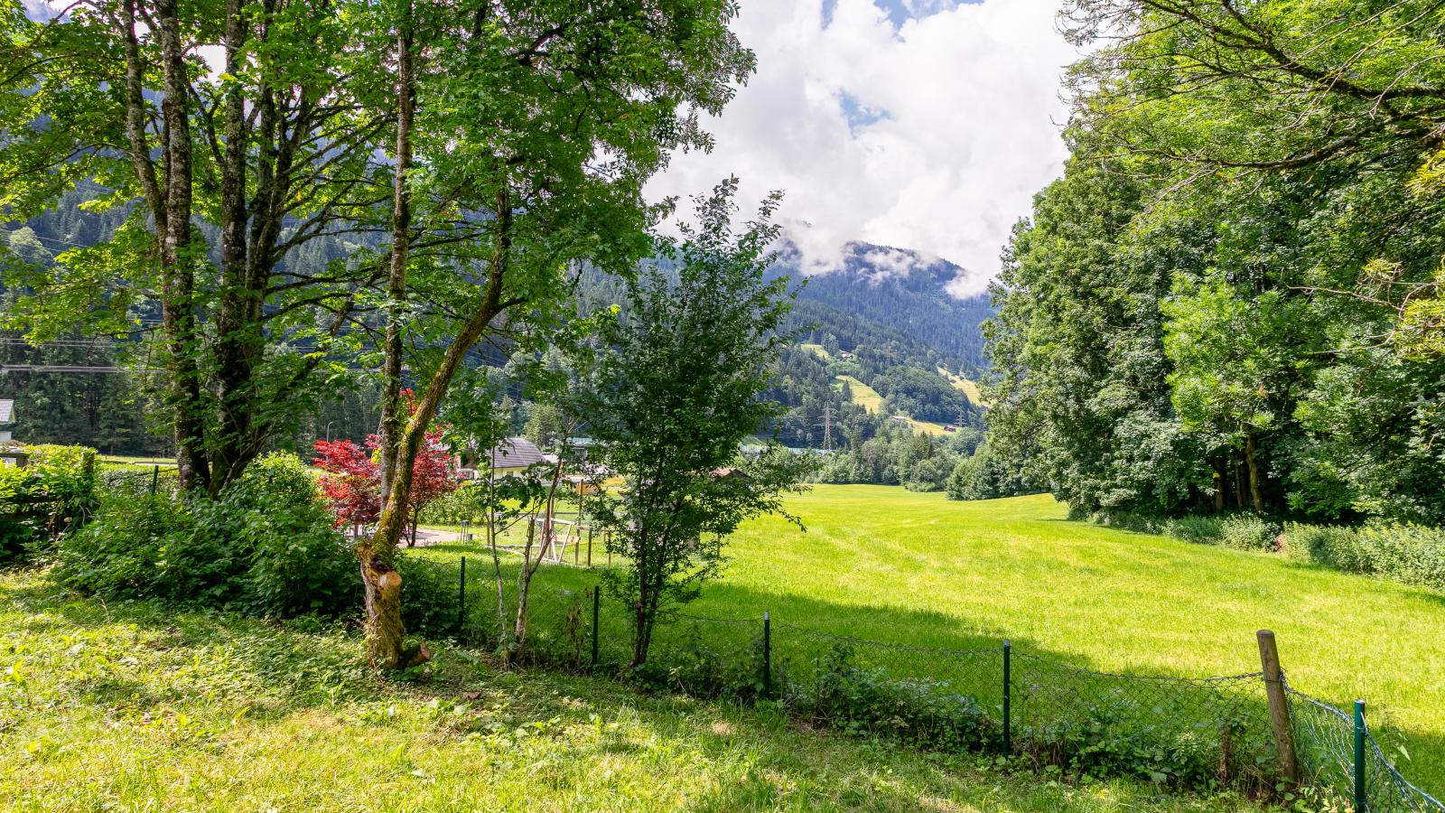 Waldhüsle