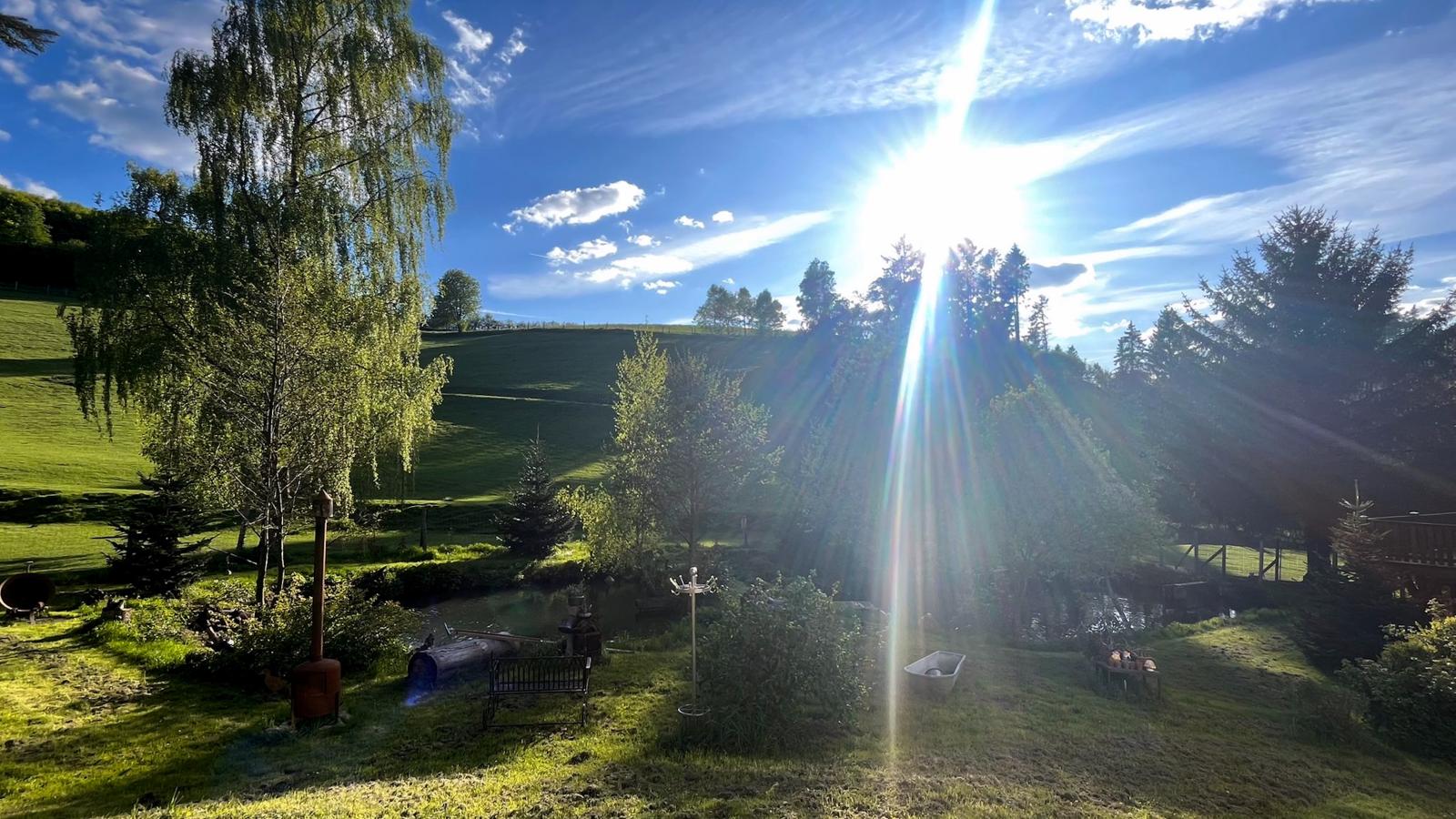Am Damwildgehege I-View summer