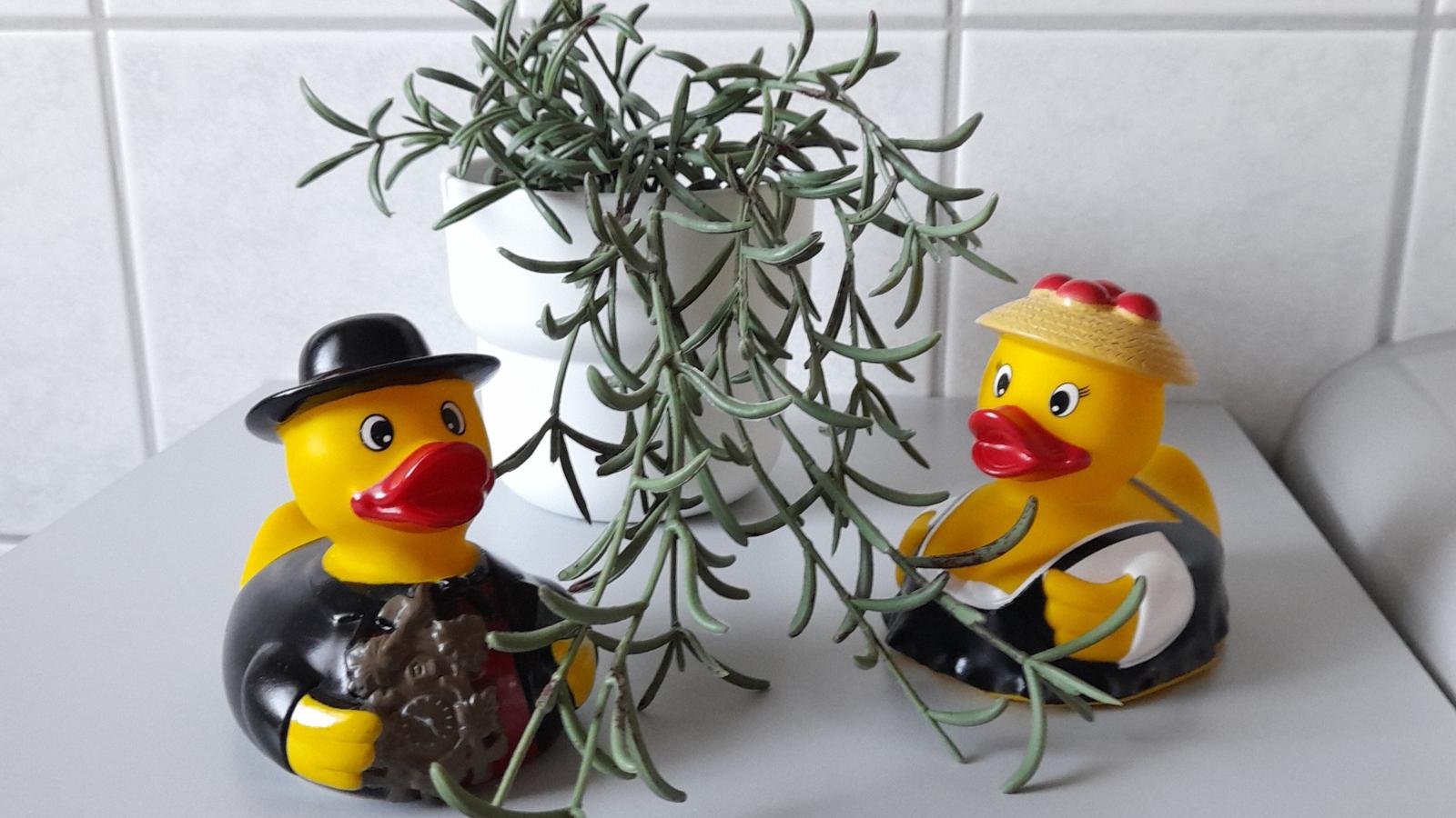 Schwarzwaldstübchen-Sfeer