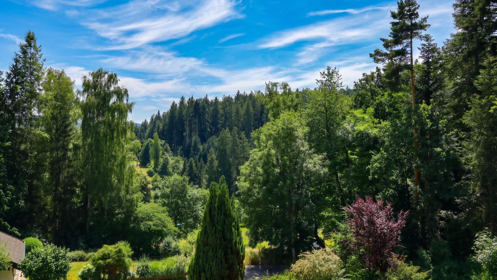 Am Wald - Uitzicht zomer