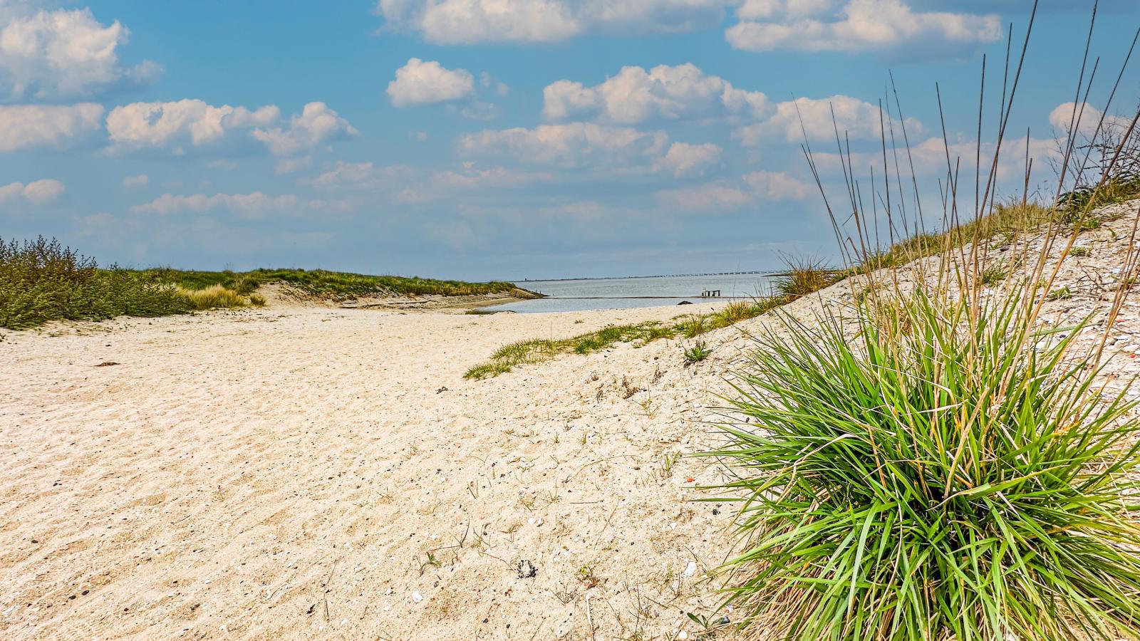 SeaLuxe Residence-Gebieden zomer 1km