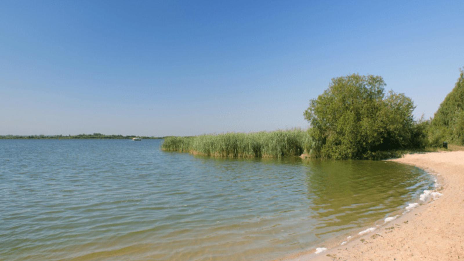Steltloper-Areas summer 20km