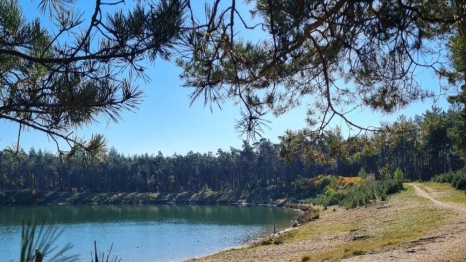 Steltloper-Areas summer 1km