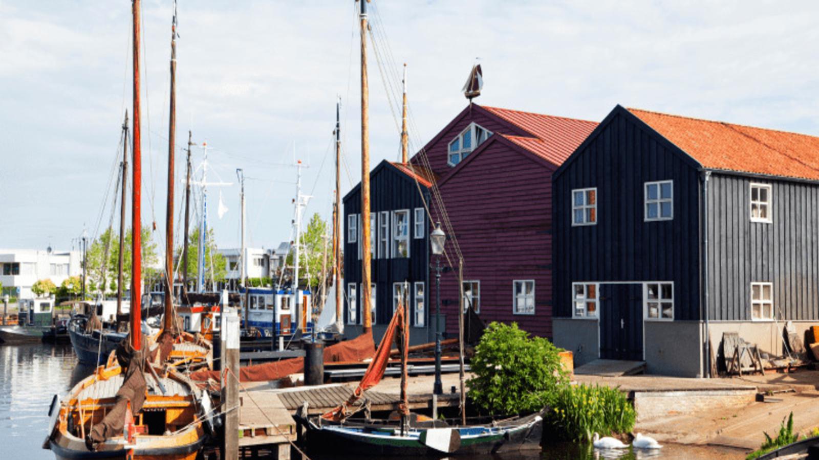 Steltloper-Areas summer 20km