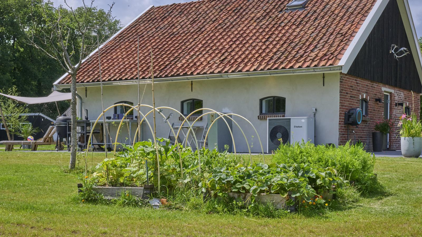 The Green Getaway-Extérieur été
