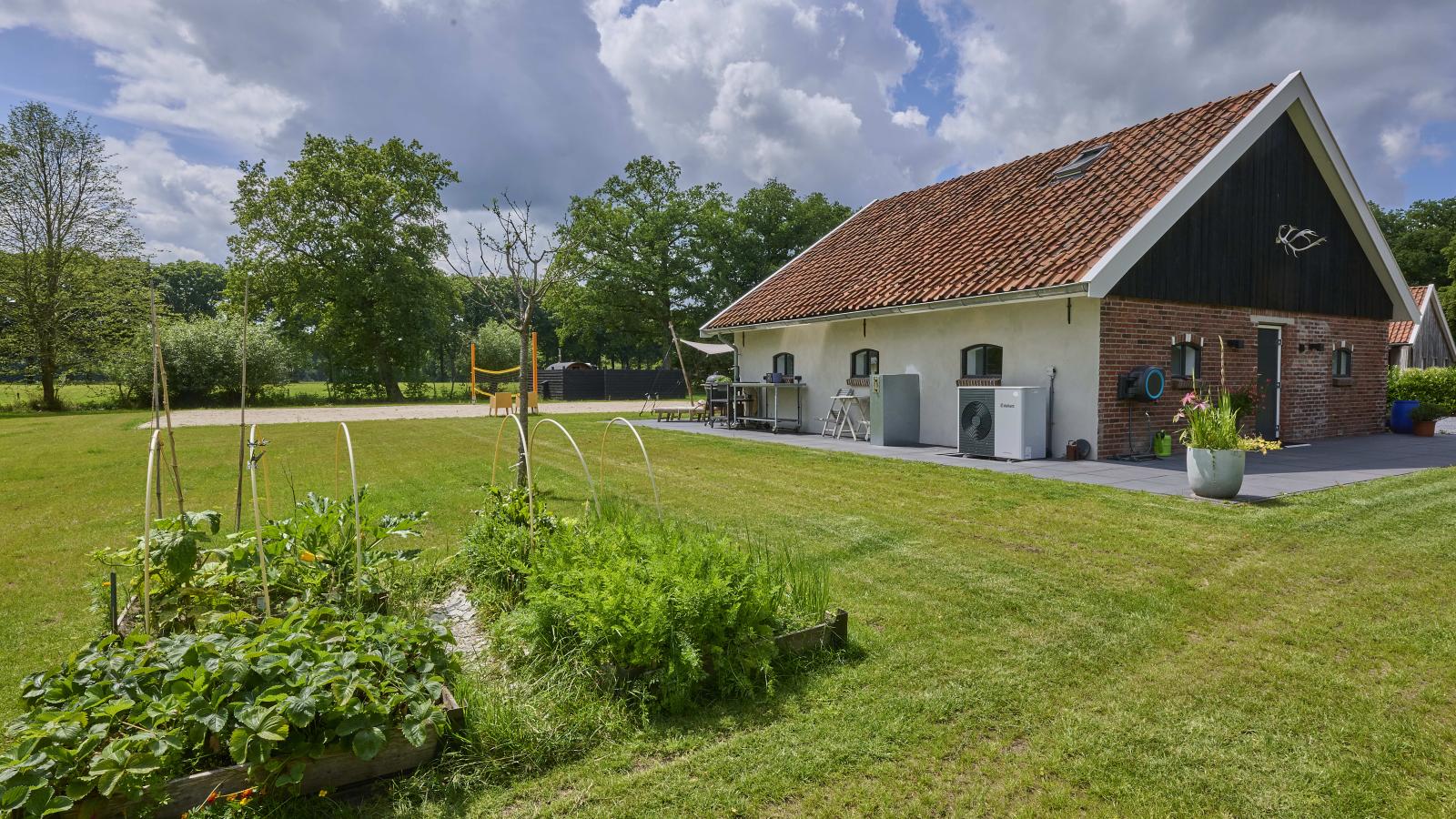 The Green Getaway-Extérieur été