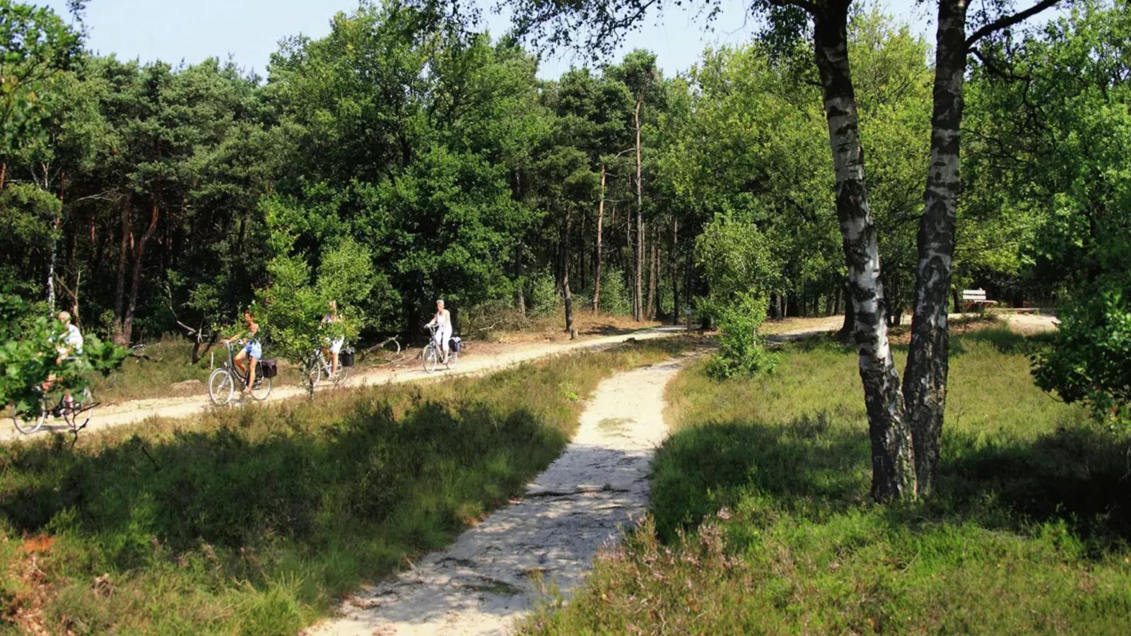 Pure Rust-Areas summer 5km