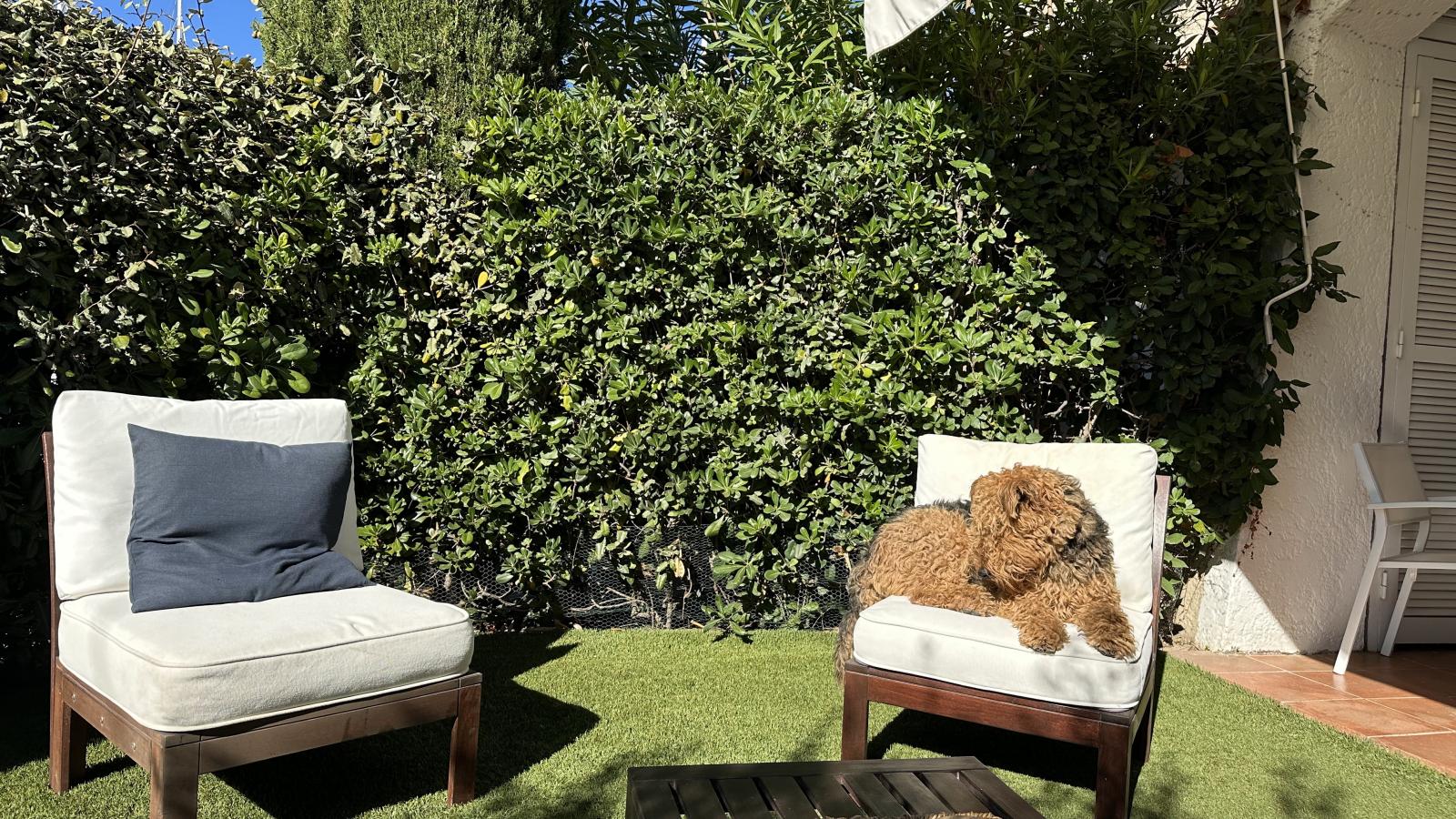 Maison Arlore-Gardens in summer