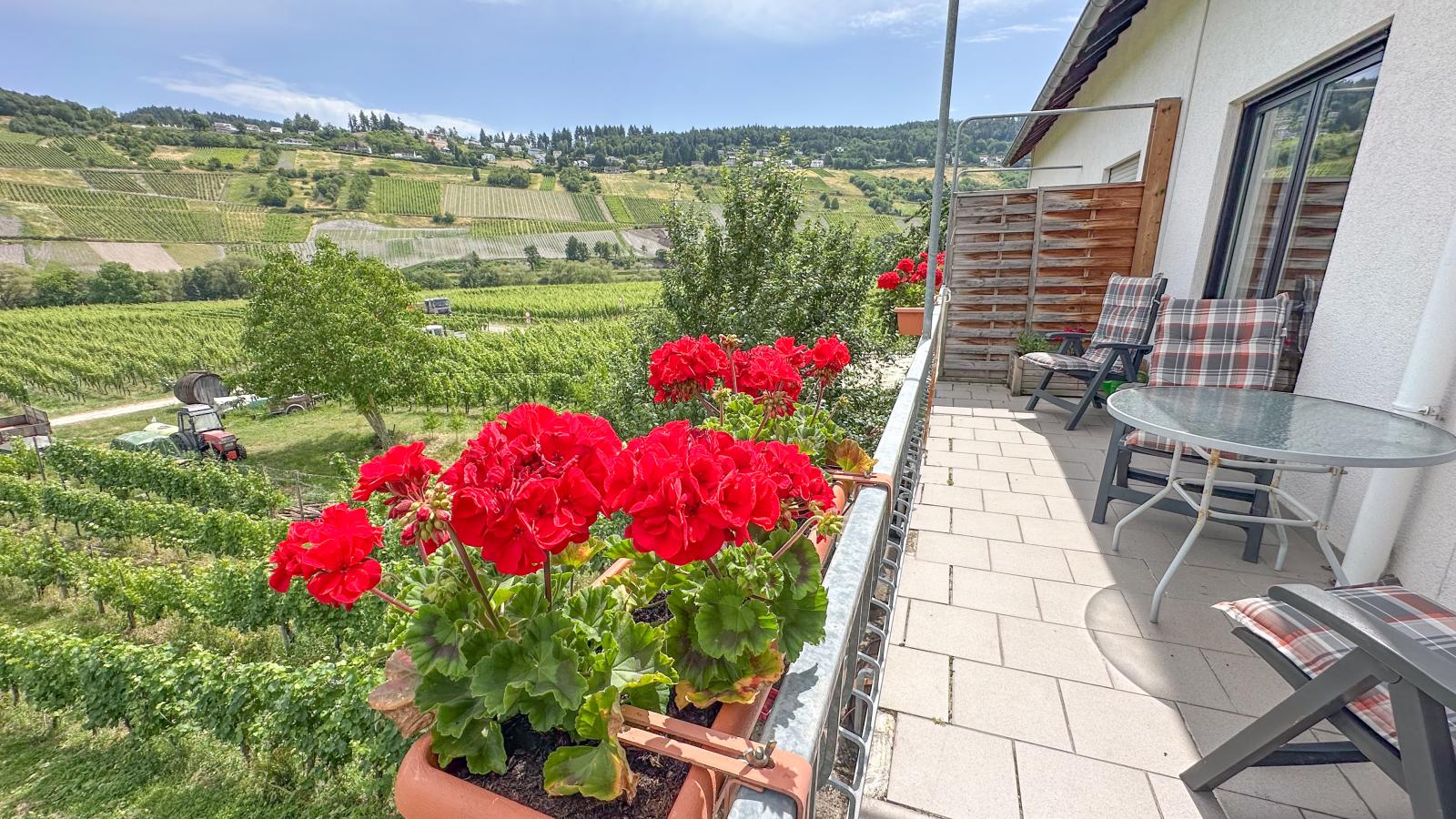 Weingut HermesLex-Terrasbalkon