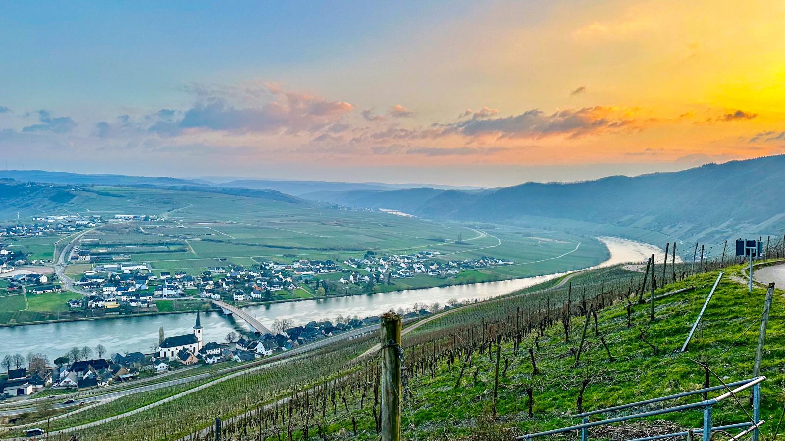 Weingut HermesLex-Gebieden zomer 1km