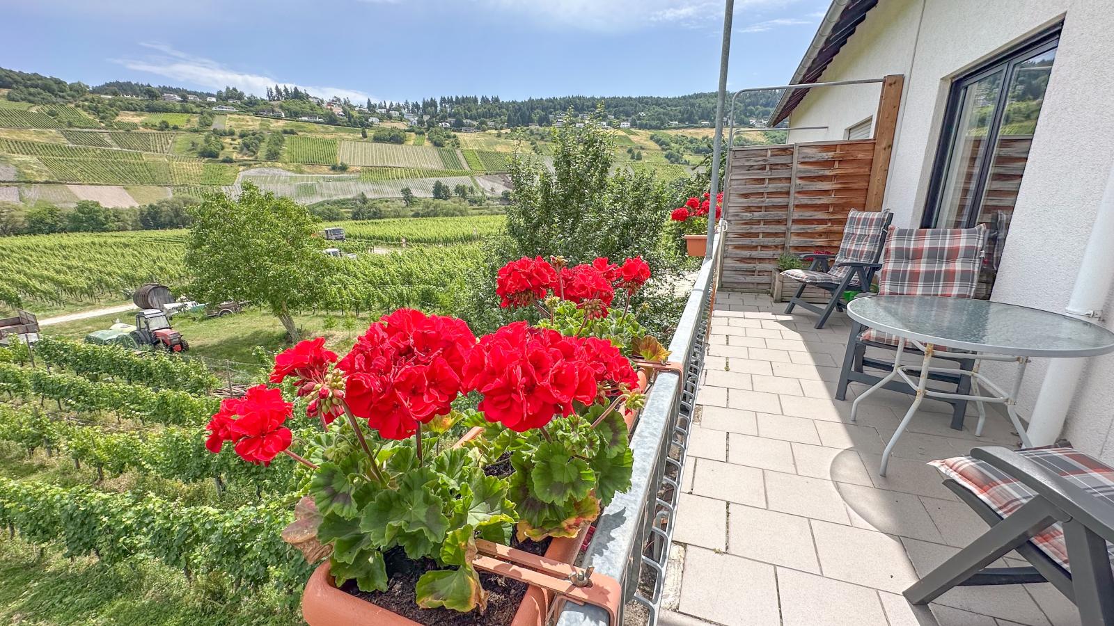 Hermes-Lex Weingut-Terrasbalkon