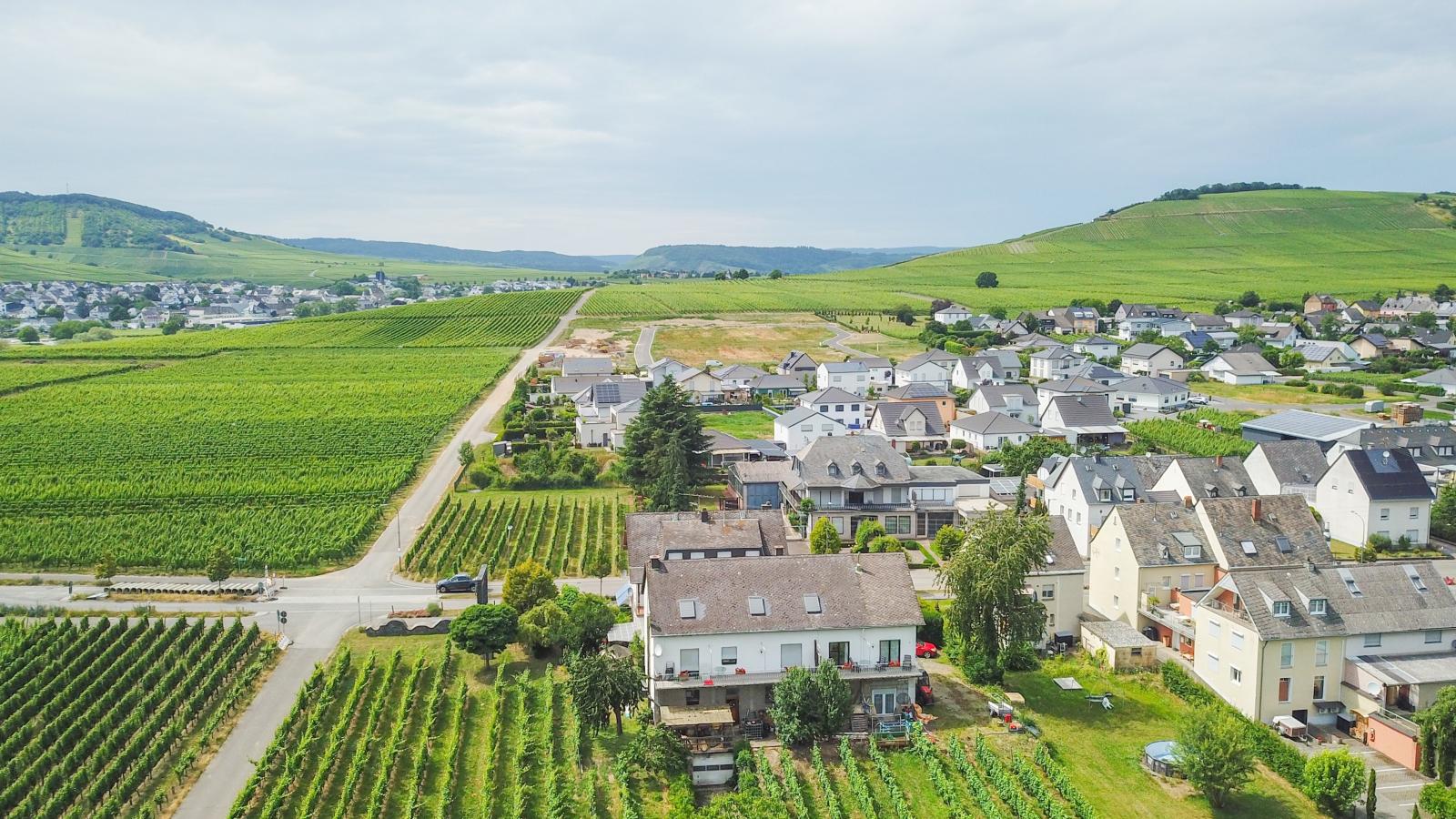 Hermes-Lex Weingut-Buitenkant zomer