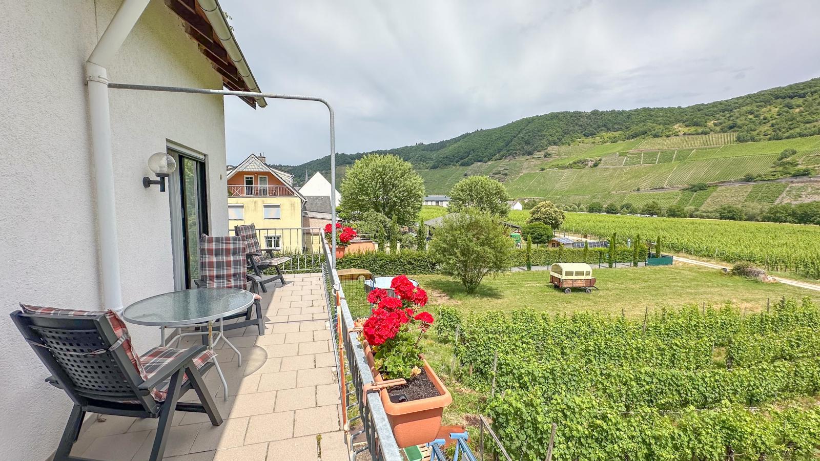 Hermes-Lex Weingut-Uitzicht zomer