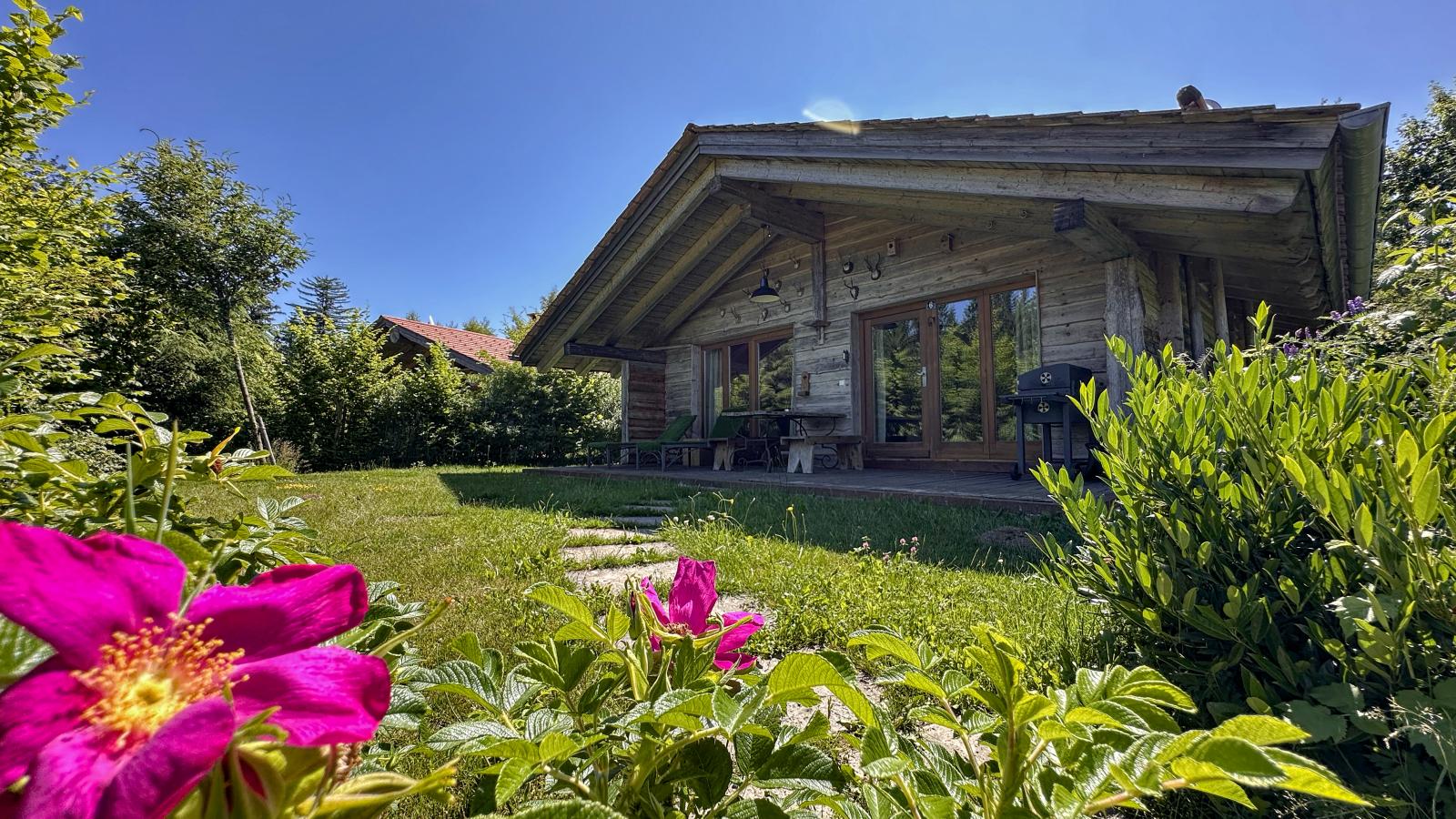 gardensummer