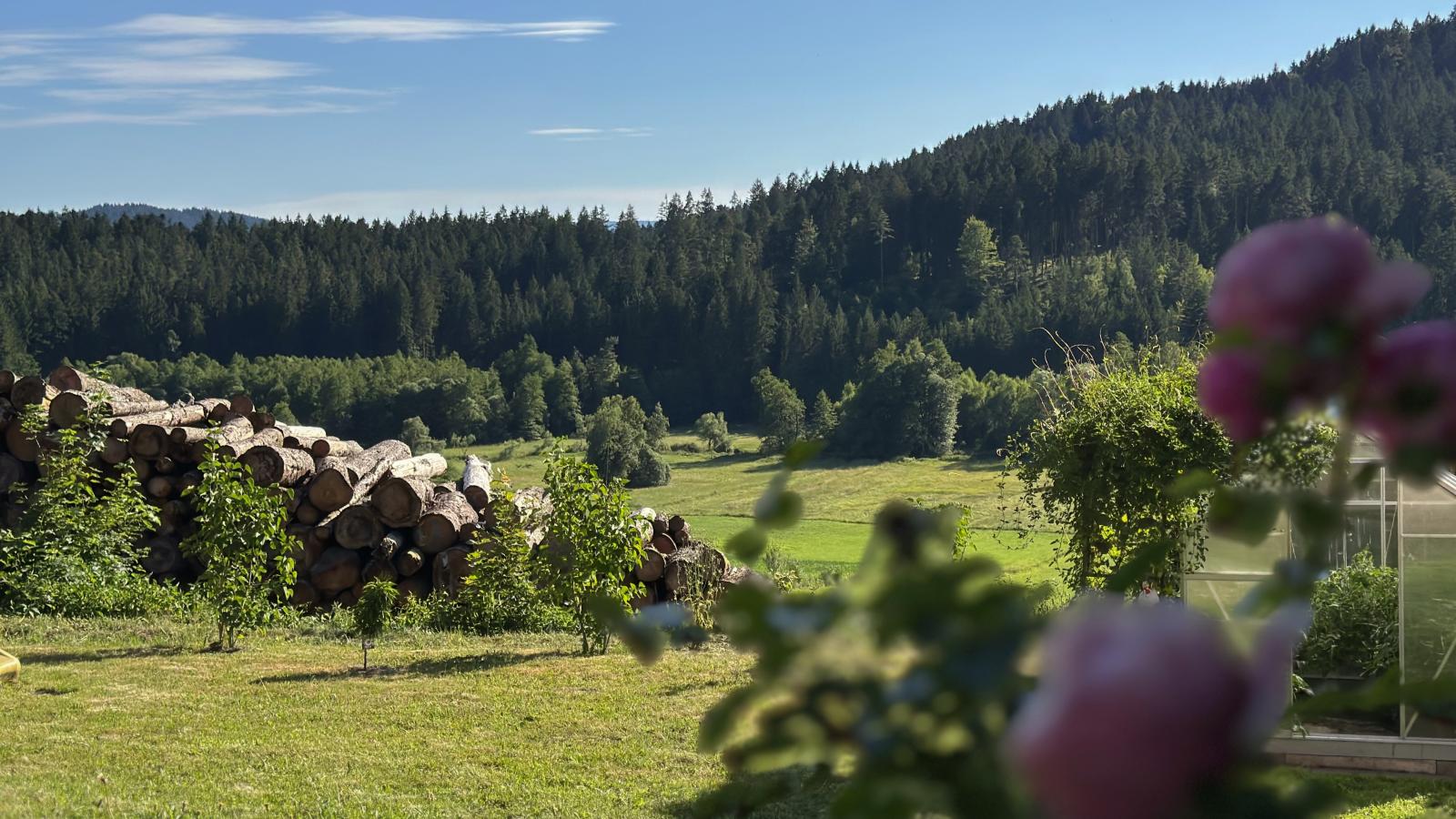 Im Zellertal-Tuinen zomer