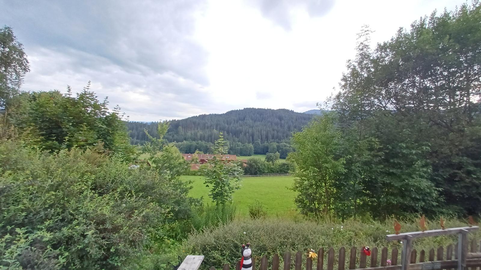 Im Zellertal I-Uitzicht zomer