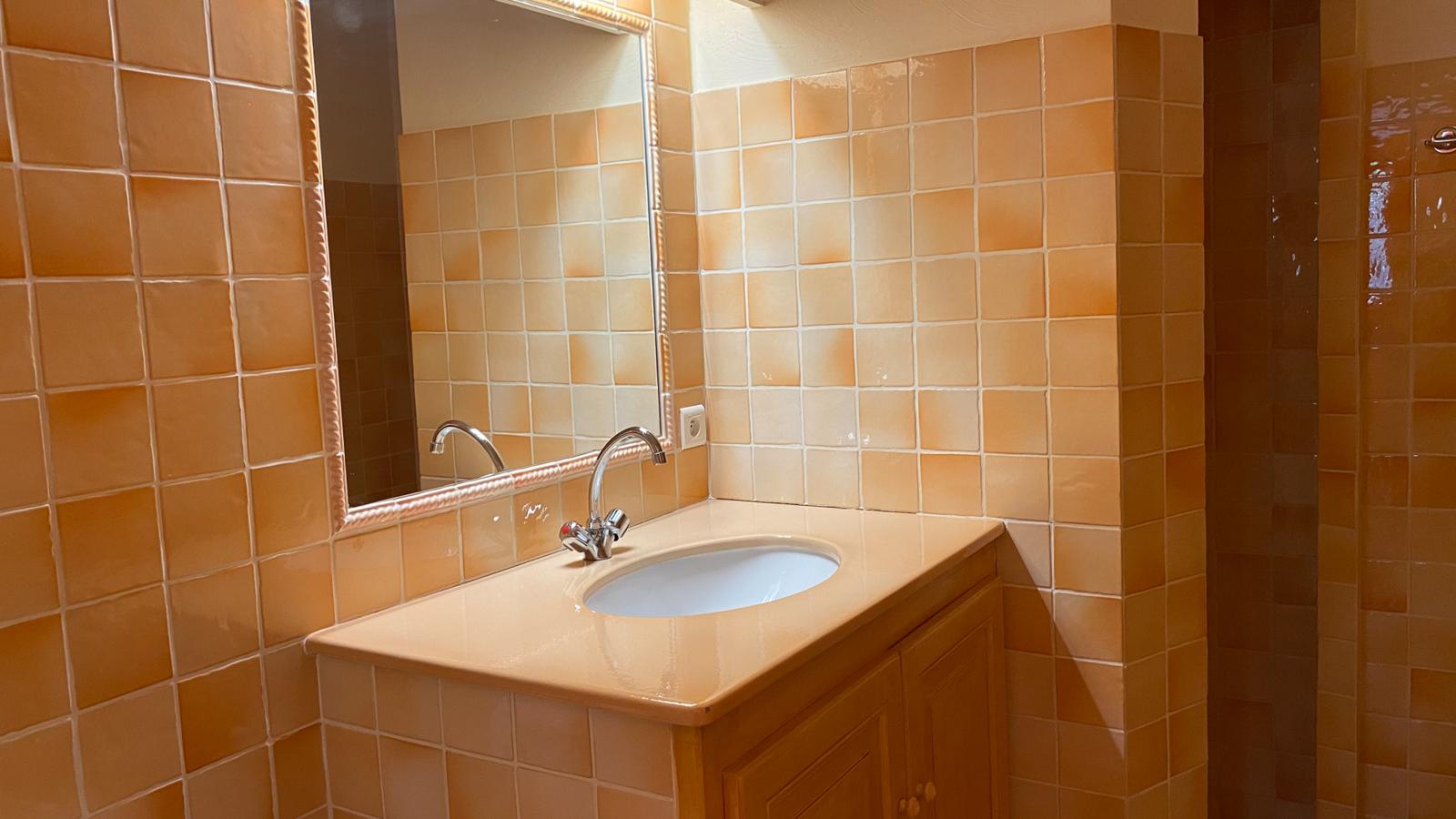 Bergerie-Salle de bain