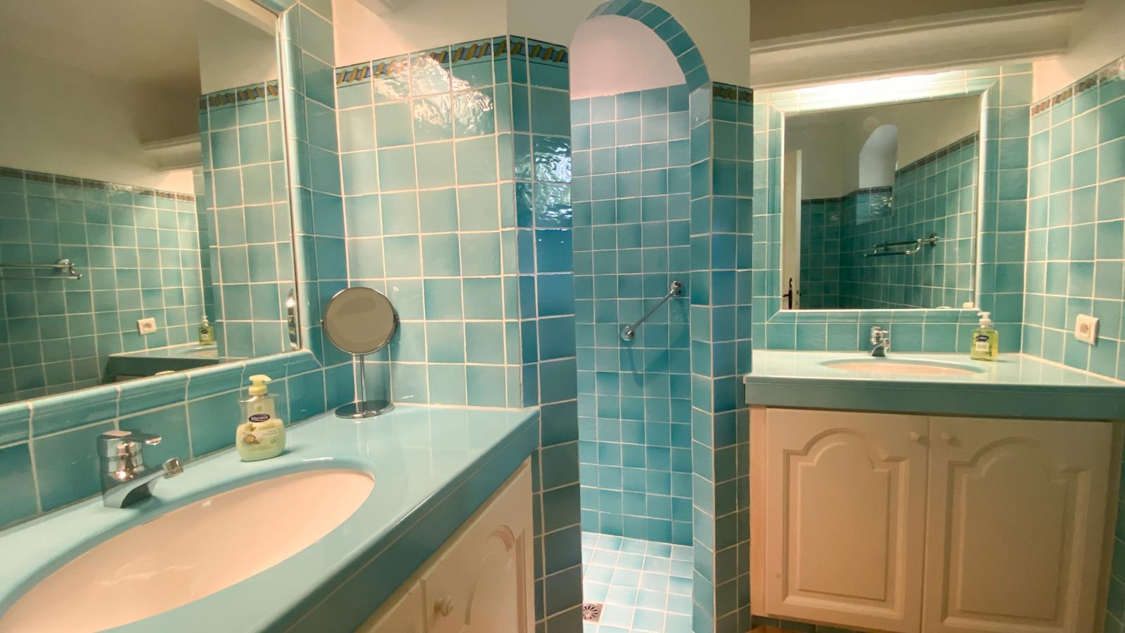Bergerie-Salle de bain