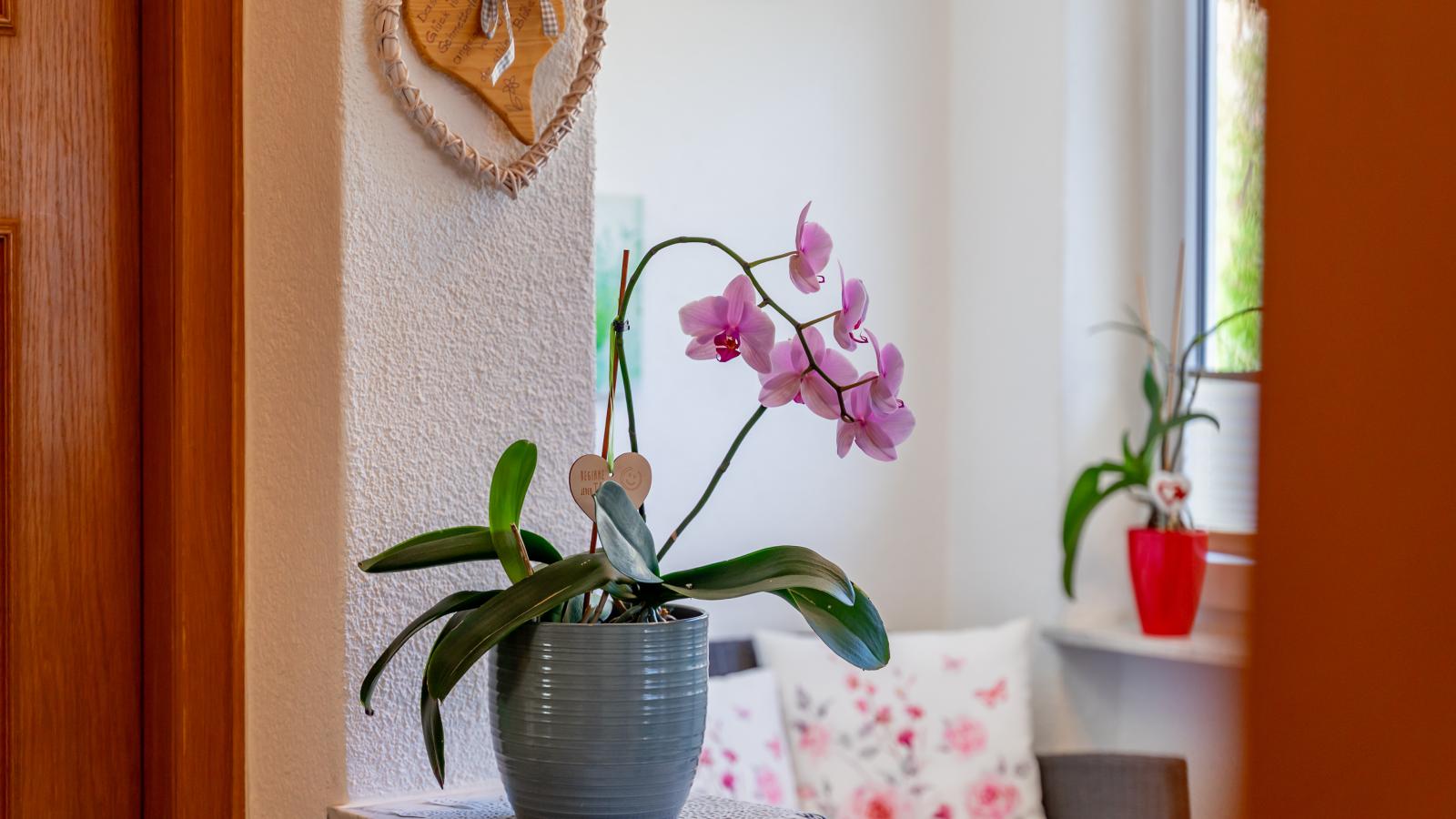 Sonnenschein I-Sfeer