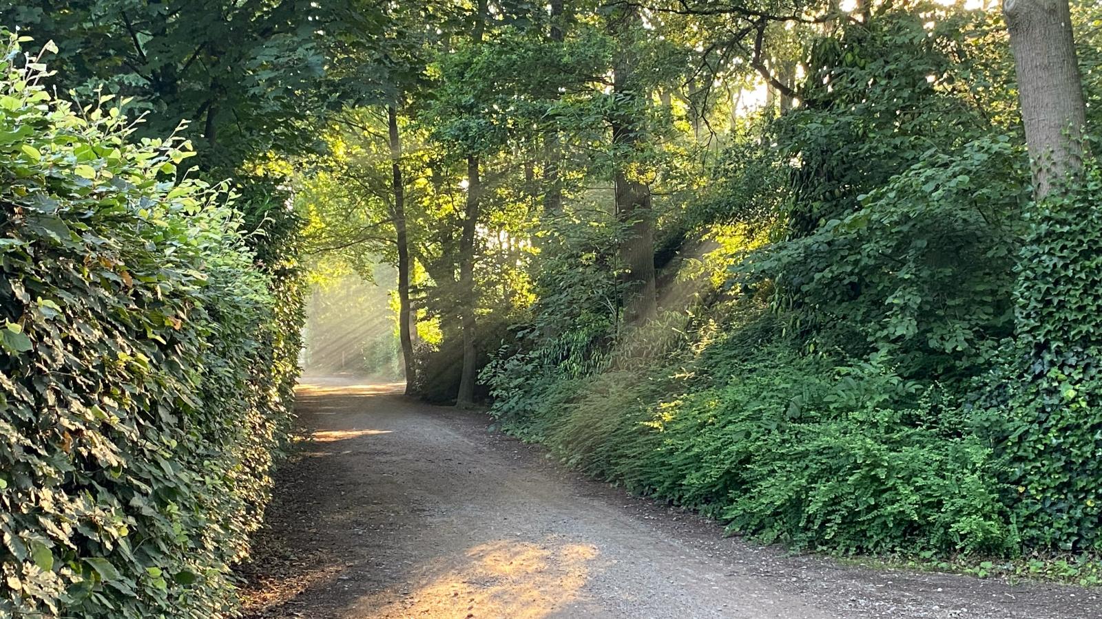 Later-Gebiete Sommer 1 km