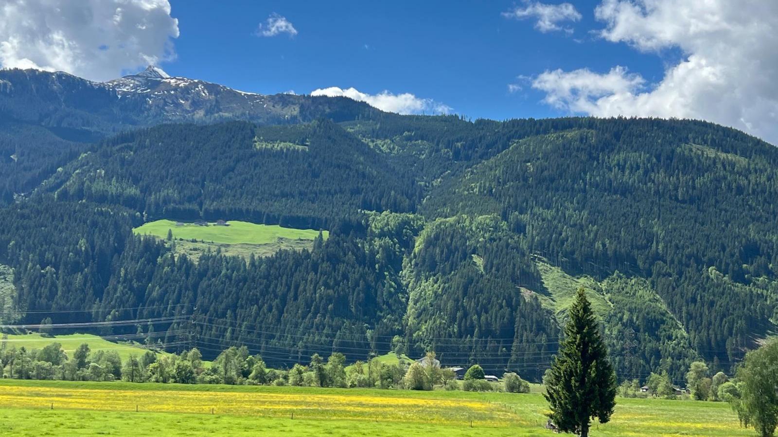 11er Kogel-Aussicht Sommer