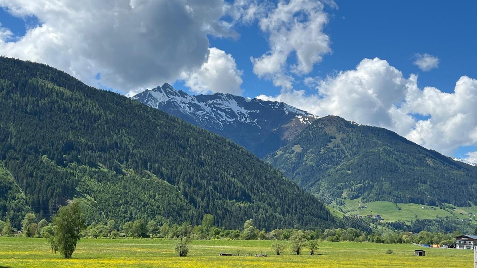 11er Kogel-Aussicht Sommer