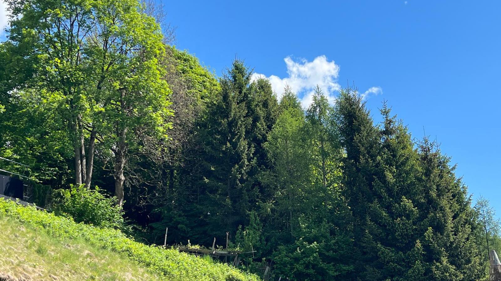 11er Kogel
