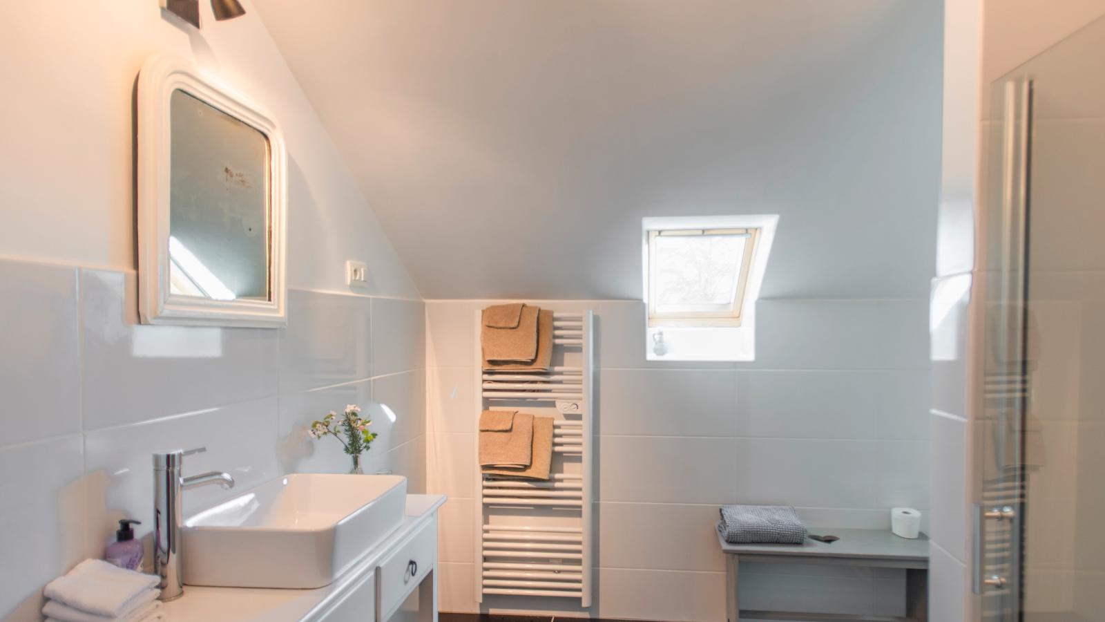 Petit Savigny-Badkamer