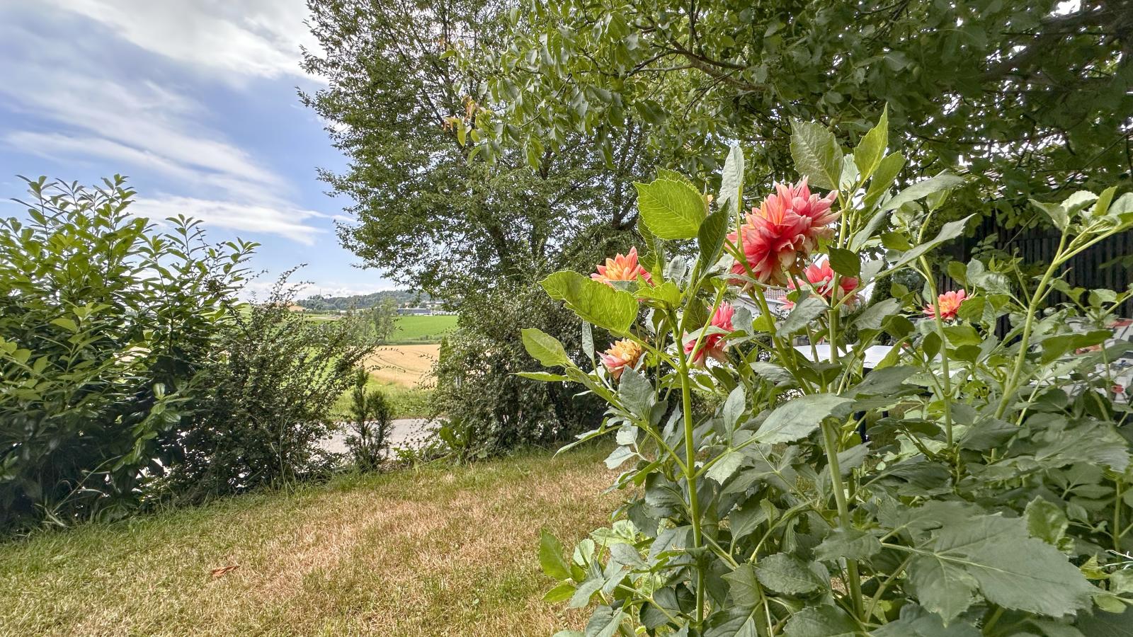 Zellner I-Uitzicht zomer