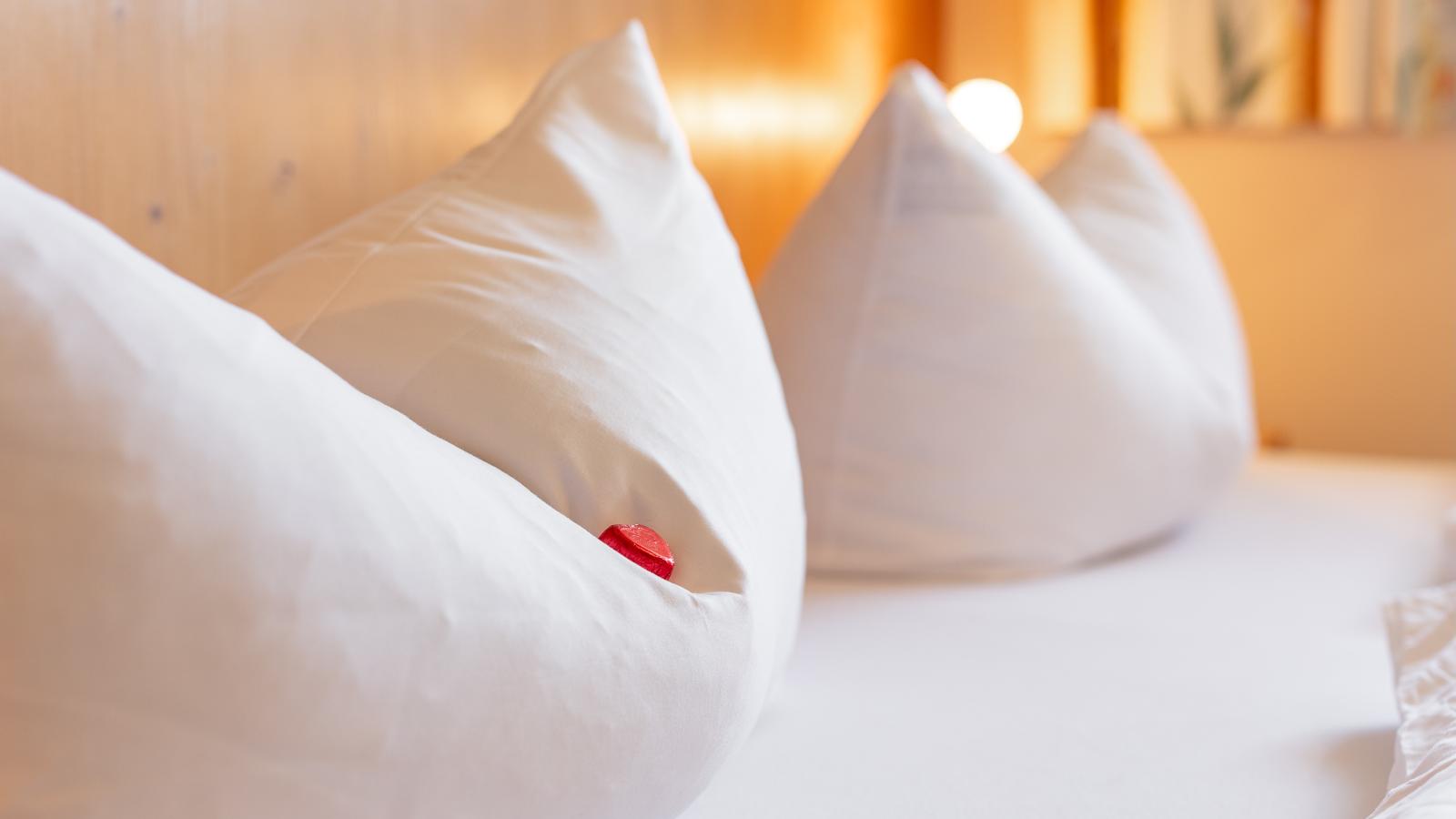 Landhaus Marchfeld Top 1-Slaapkamer