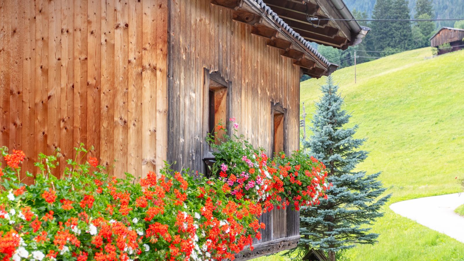 Almruhe Alpbach-Exterior summer