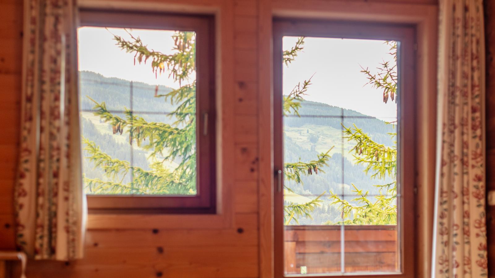 Almruhe Alpbach-View summer