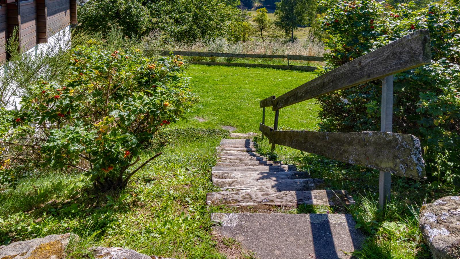 Veste Coburg Blick-Tuinen zomer