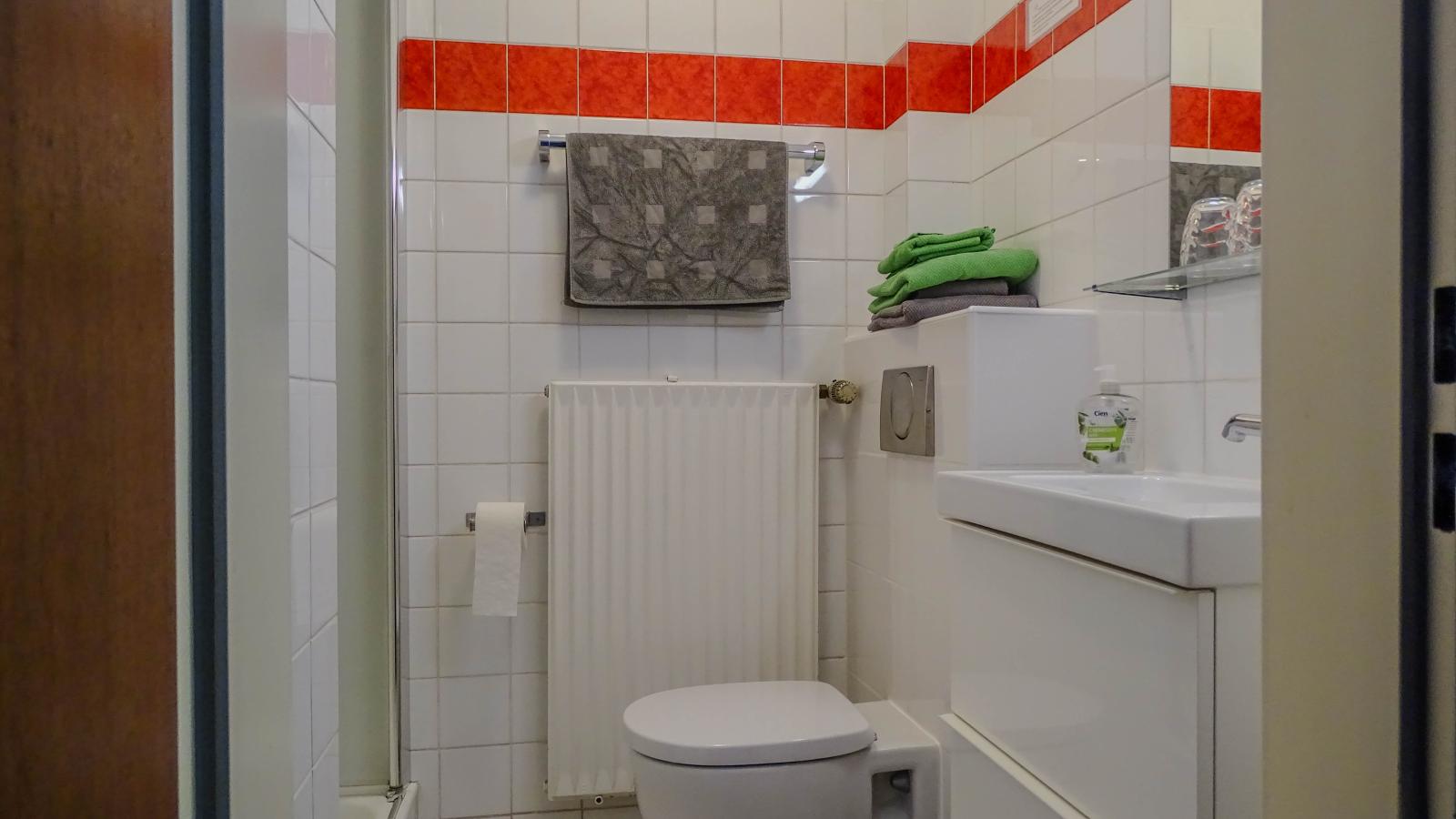 Friedensthal-Badkamer